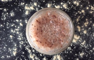 Hot Chocolate Protein Smoothie with Everlast Nutrition